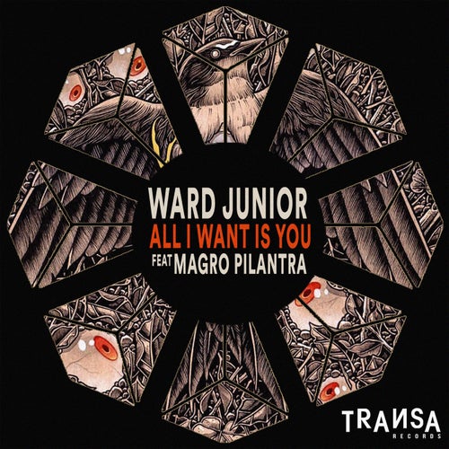 Ward Junior - All I Want Is You feat Magro Pilantra  [TRANSA285]